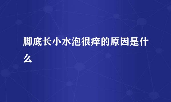 脚底长小水泡很痒的原因是什么