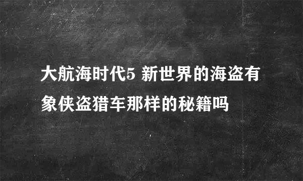 大航海时代5 新世界的海盗有象侠盗猎车那样的秘籍吗