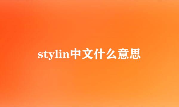 stylin中文什么意思