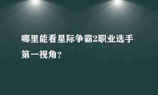 哪里能看星际争霸2职业选手第一视角？