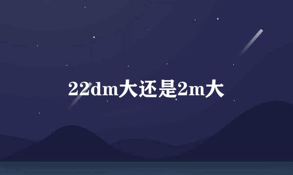 22dm大还是2m大