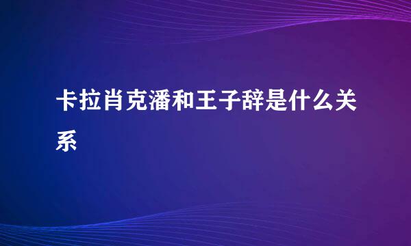 卡拉肖克潘和王子辞是什么关系