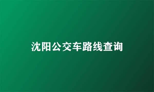 沈阳公交车路线查询