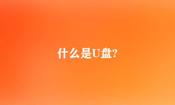 什么是U盘?