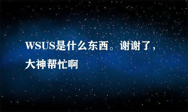 WSUS是什么东西。谢谢了，大神帮忙啊