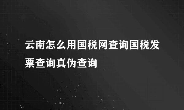 云南怎么用国税网查询国税发票查询真伪查询