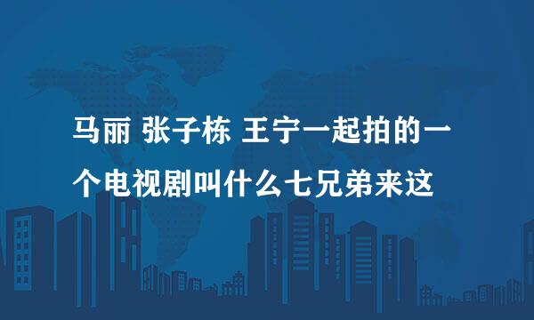 马丽 张子栋 王宁一起拍的一个电视剧叫什么七兄弟来这