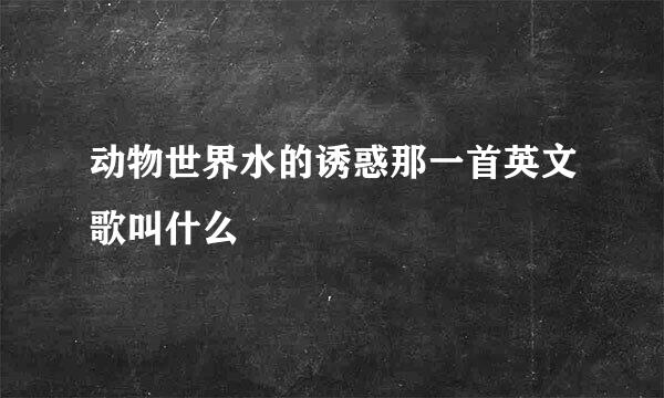 动物世界水的诱惑那一首英文歌叫什么