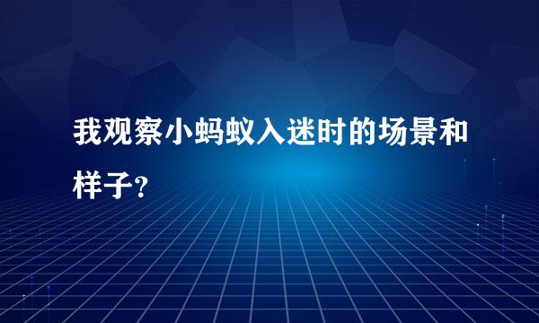 我观察小蚂蚁入迷时的场景和样子？