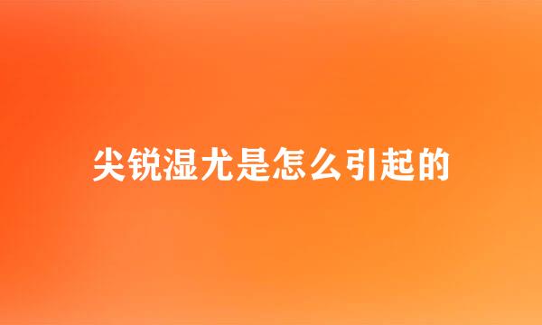 尖锐湿尤是怎么引起的