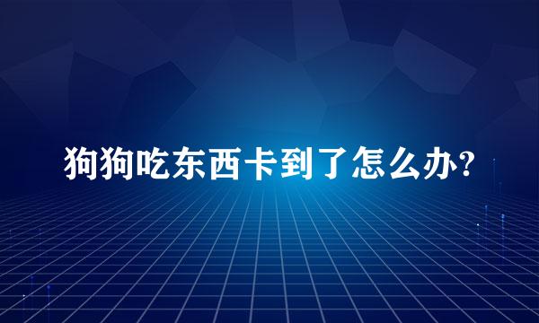 狗狗吃东西卡到了怎么办?