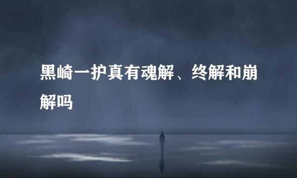 黑崎一护真有魂解、终解和崩解吗