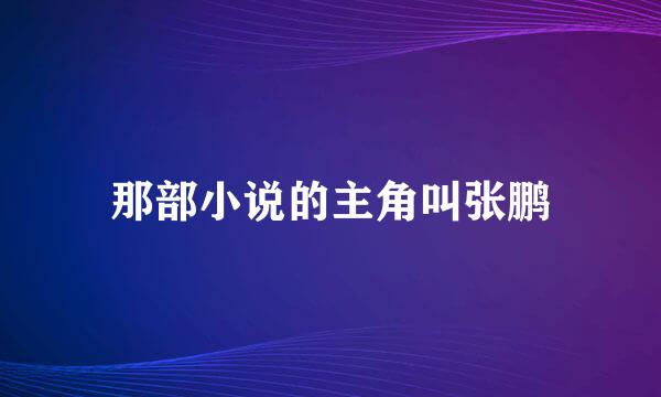 那部小说的主角叫张鹏