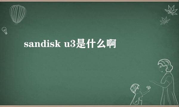 sandisk u3是什么啊