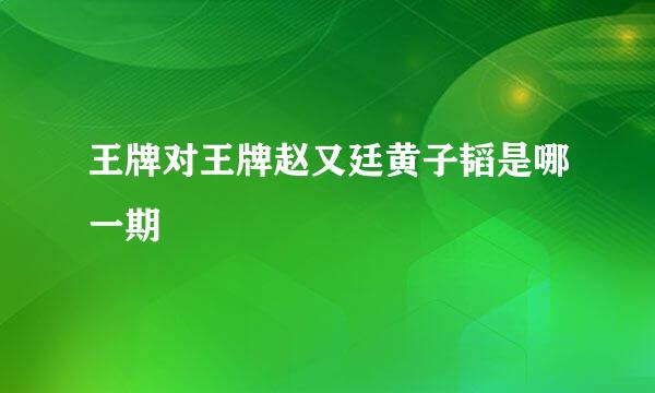 王牌对王牌赵又廷黄子韬是哪一期