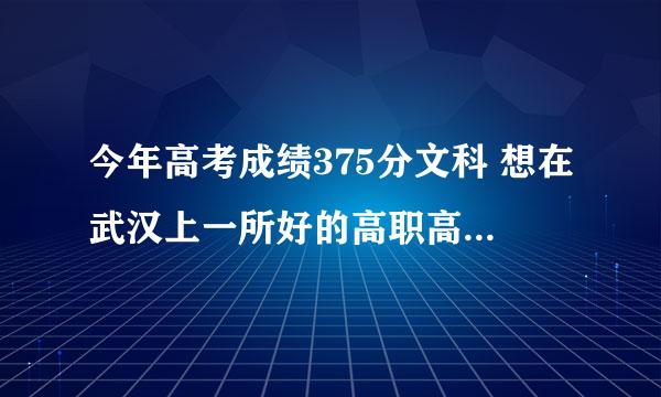 今年高考成绩375分文科 想在武汉上一所好的高职高专不知道能上什么 专业也给点意见吧 谢谢