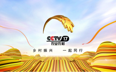 CCTV17是什么频道