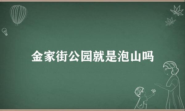 金家街公园就是泡山吗