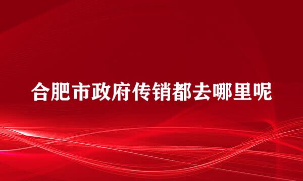 合肥市政府传销都去哪里呢