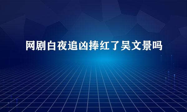 网剧白夜追凶捧红了吴文景吗