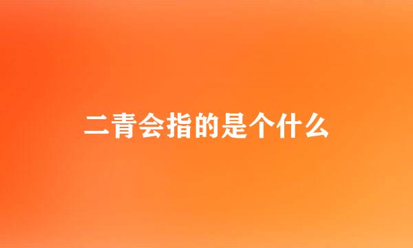 二青会指的是个什么