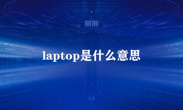 laptop是什么意思