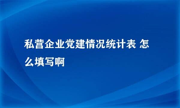 私营企业党建情况统计表 怎么填写啊