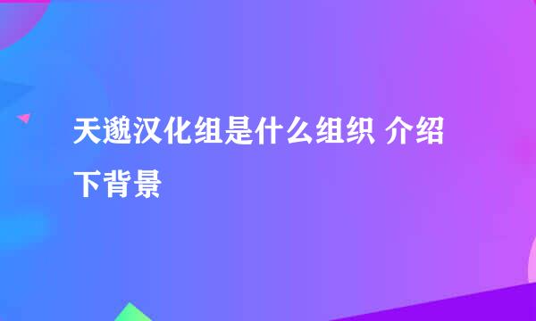 天邈汉化组是什么组织 介绍下背景