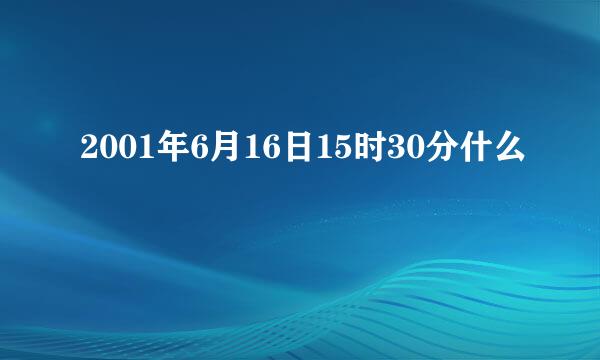 2001年6月16日15时30分什么