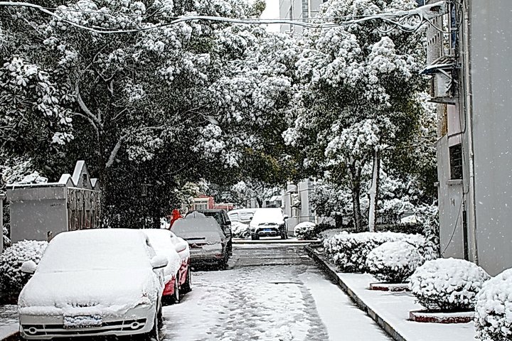 北京封闭小区初雪夜齐唱《海阔天空》，这一场面有多震撼？