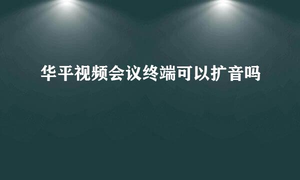 华平视频会议终端可以扩音吗