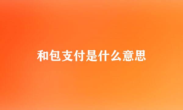 和包支付是什么意思