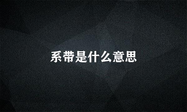 系带是什么意思