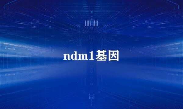 ndm1基因