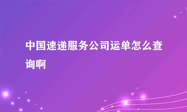 中国速递服务公司运单怎么查询啊