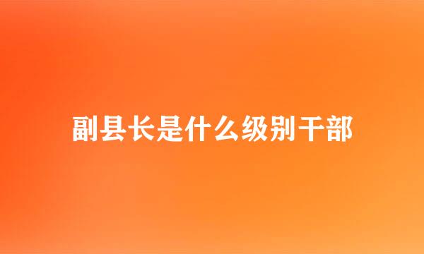 副县长是什么级别干部