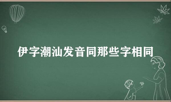 伊字潮汕发音同那些字相同