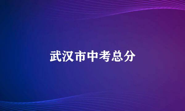 武汉市中考总分