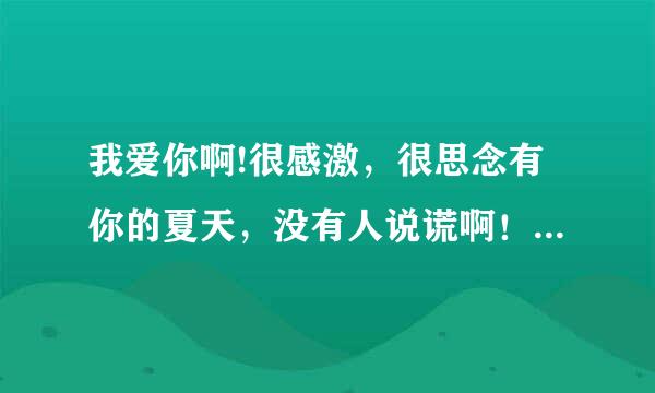 我爱你啊!很感激，很思念有你的夏天，没有人说谎啊！这是什么歌的歌词，跪求!