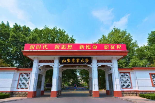 山东农业大学排名