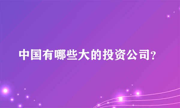 中国有哪些大的投资公司？