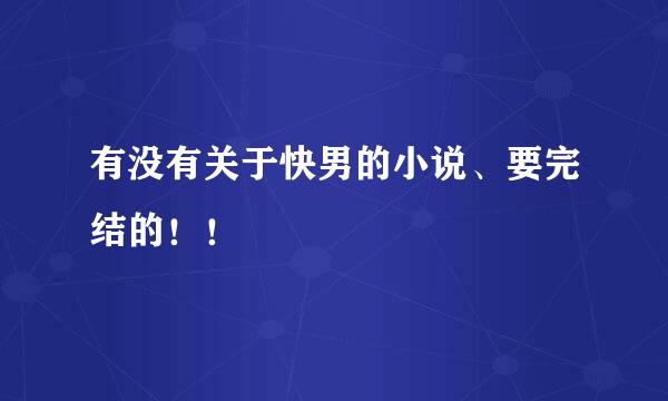 有没有关于快男的小说、要完结的！！