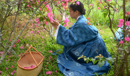 云南一女子自学植物染为汉服染色，你觉得她染的怎么样？