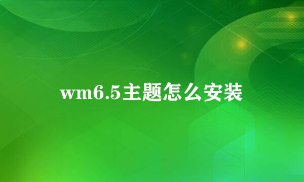 wm6.5主题怎么安装