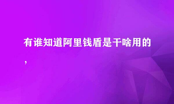 有谁知道阿里钱盾是干啥用的，