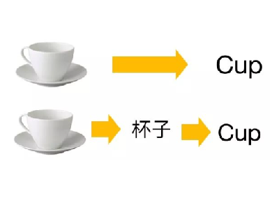 cup是什么意思英语