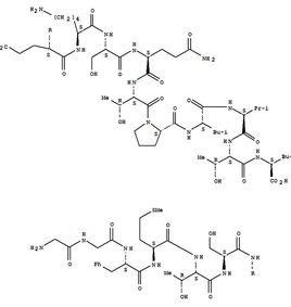 多巴胺和内啡肽究竟有什么区别?