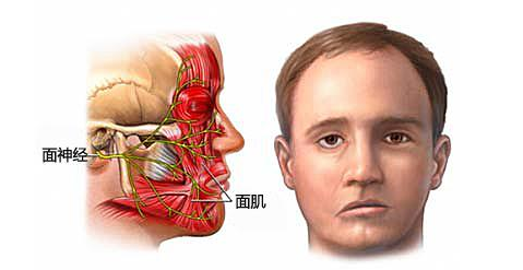 面神经的核上瘫、核下瘫症状有何区别？