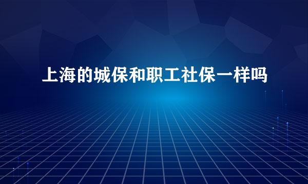 上海的城保和职工社保一样吗