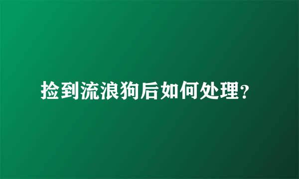 捡到流浪狗后如何处理？